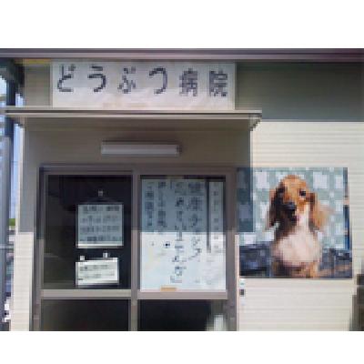 平野どうぶつ病院