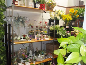 Flower shop遊花