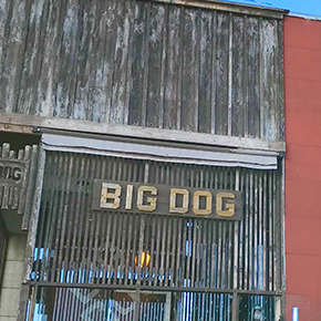 Dog Life Support BIGDOG