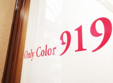only color 919
