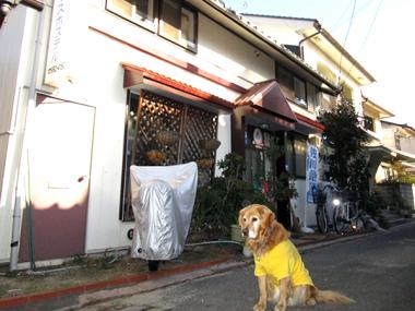 北条水軍ユースホステル